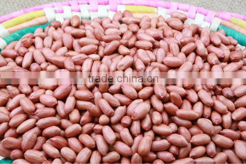 Chinese New Crop groundnuts and peanuts