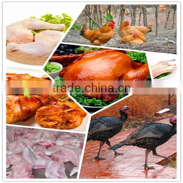 China best selling chicken cleaning machine