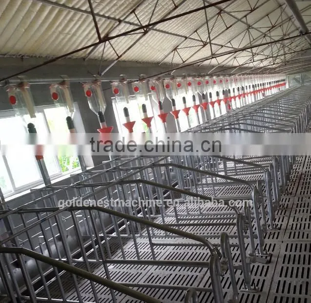 ^Pregnant pig Stall for Sows with good quality
