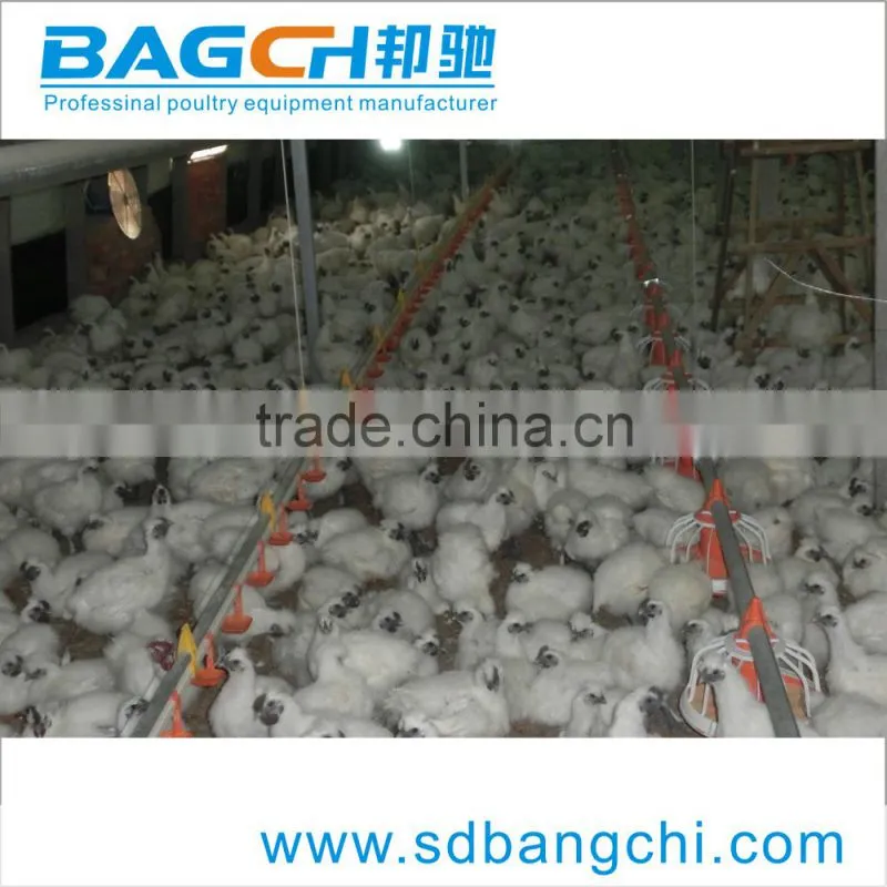 BC Series automatic poultry equipment Nipple drinking Line