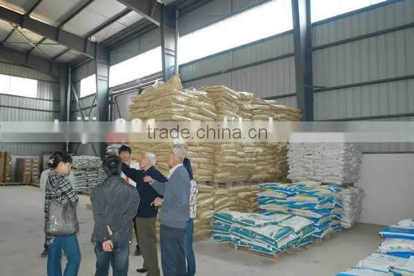 meat bone meal hot sale (MBM)