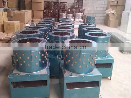 Poultry equipment chicken plucking machine/equipment poultry algeria/poultry plucker equipment