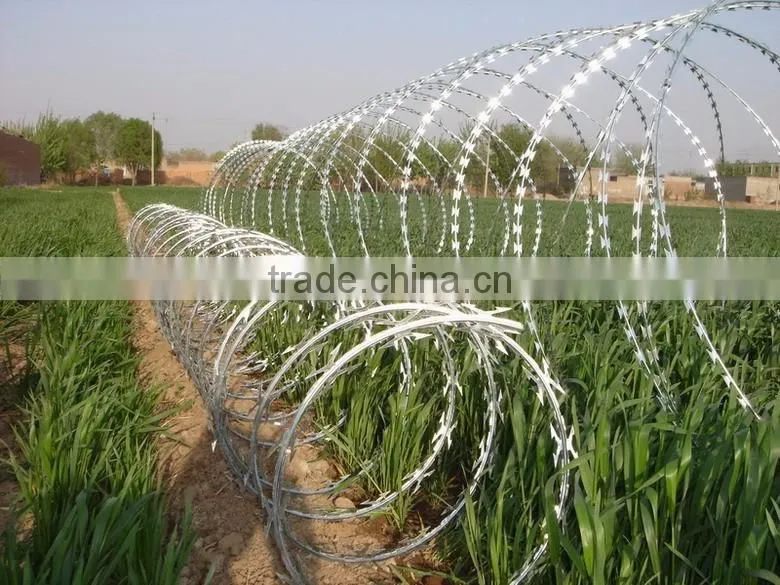 razor wire packing grass boundary galvanized barbed wire galvanize razor blade barbed wire