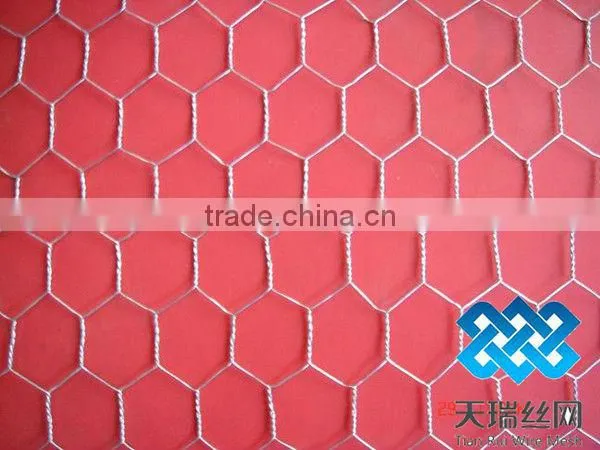 GI Hexagonal wire mesh