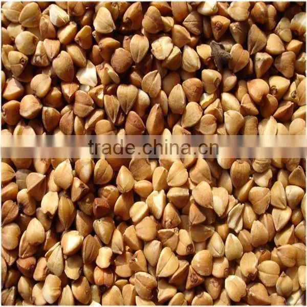 CY full automaic 15t/d buckwheat sheller for buckwheat hull buckwheat hulling machine