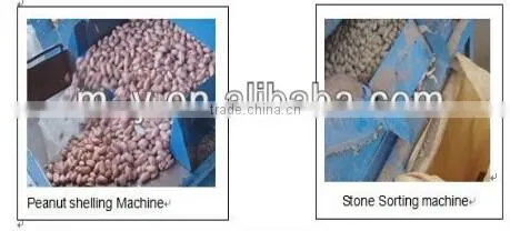 new condition high efficiency pignut shell remover manufacture