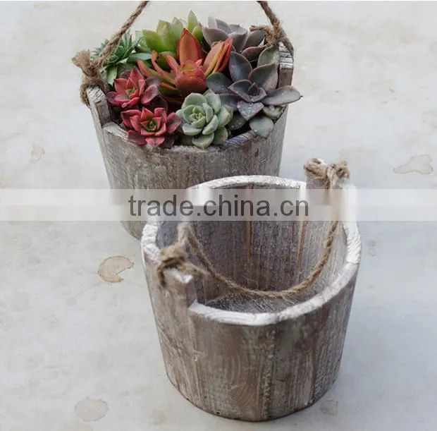 Succulent plant small wood hanging planter
