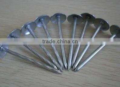 High quality polished umbrella roofing nails in China