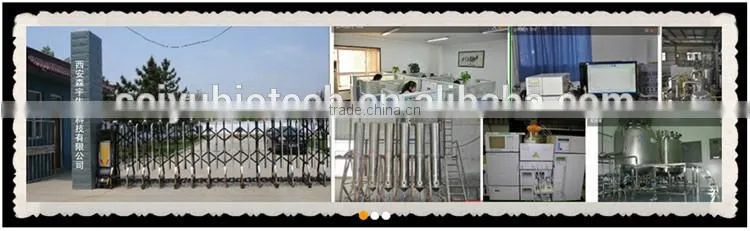 Pure Gymnemic acid 25% and 75% Gymnema sylvestre extract powder