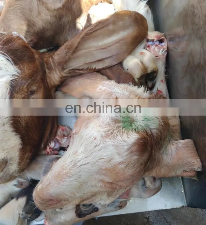 Automatic stainless steel sheep head unhair machine/sheep feet and head unhairing machine for sale