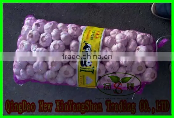 (HOT) Fresh Garlic,Garlic exporters china