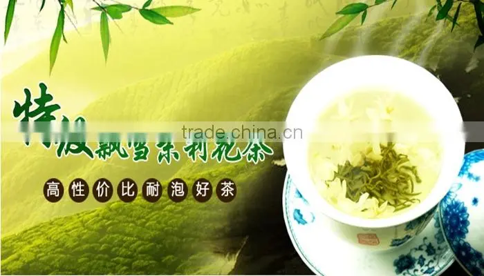 Fu Jian Fragrant Jasmine Green Tea Popular Chinese Jasmine Tea