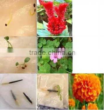 handmade seed paper tag