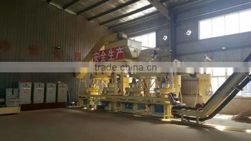 Biomass pallet mill production line
