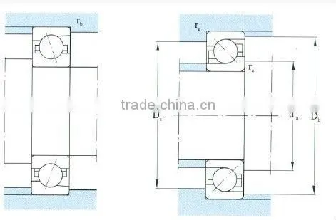 Double Row Angular Contact Ball Bearing