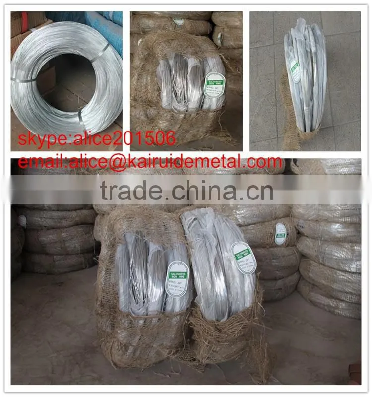 High Quality Factory manufacture Galvanized Iron Wire,galvanized Wire