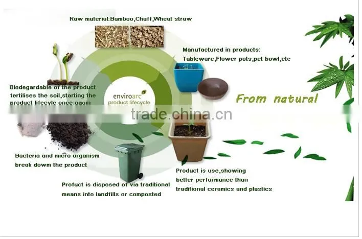 tea cup wholesale