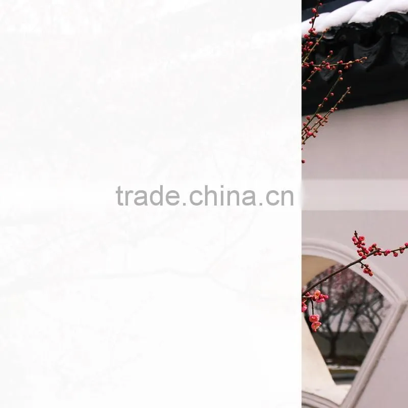 2015 Suzhou new glass window film building decoration