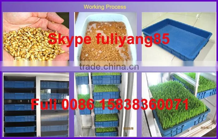 Hydroponic fodder fodder solutions hydroponic fodder machine