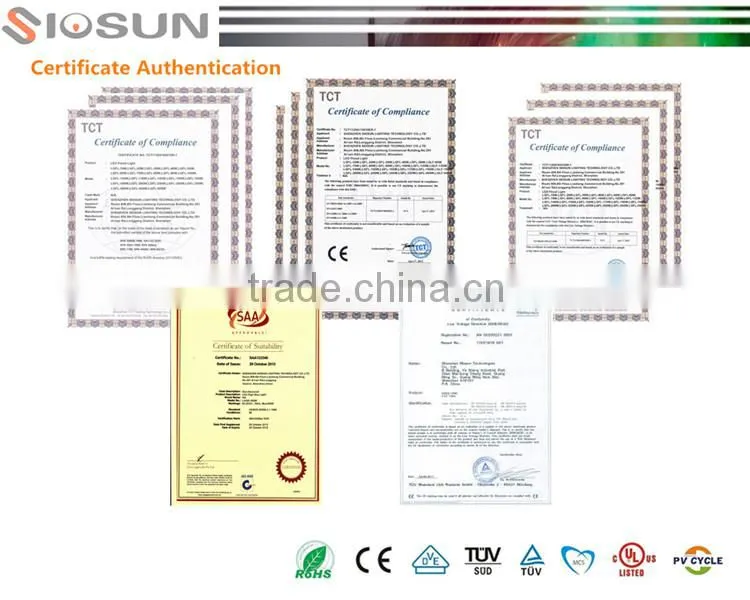 High Quality IP67 Citizen COB LED Flood Light 100w