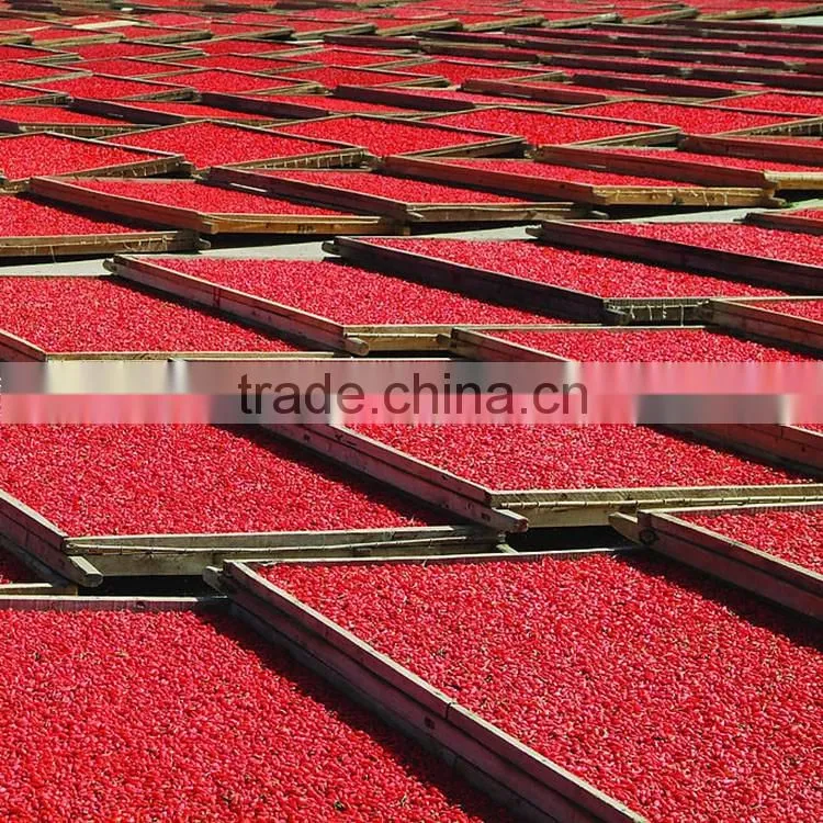 Manufacturer wholesales chinese wolfberry extract