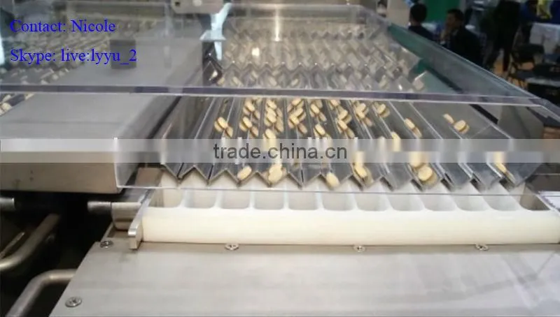 Tablet Counting Device / Capsule Counting Machine