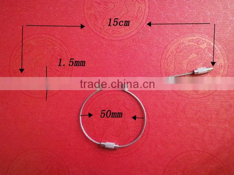 2011 Hot selling Stainless Steel Wire Rope Keychain