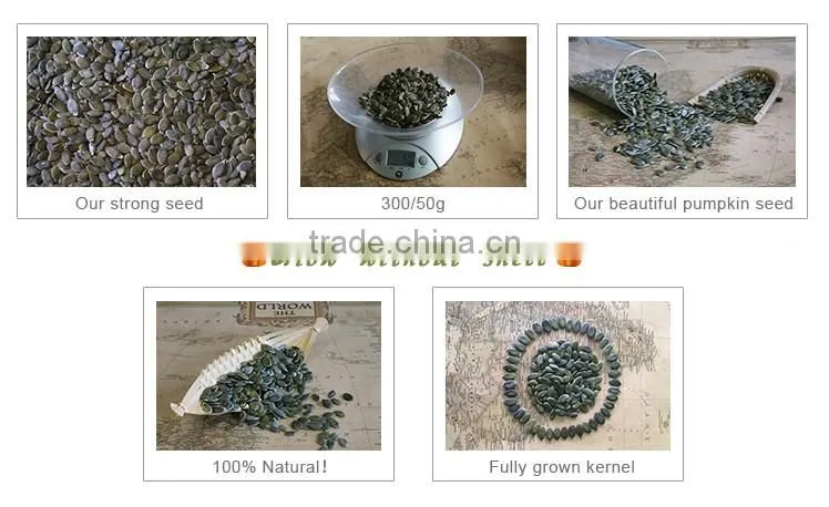 Pumpkin seed grow without shell GWS low price