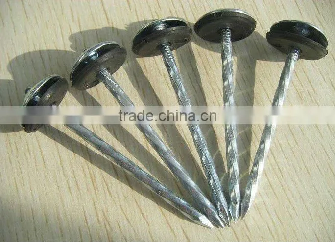 galvanized umbrella head twisted roofing nail