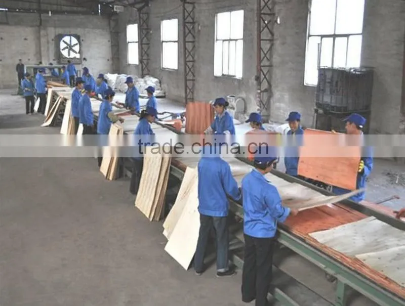 Fancy Plywood/Fancy Poplar Plywood for furniture making