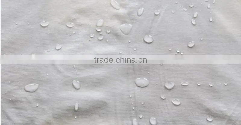 Hospital WaterProof Bed Bug Polyester Zipper Mattress Cover