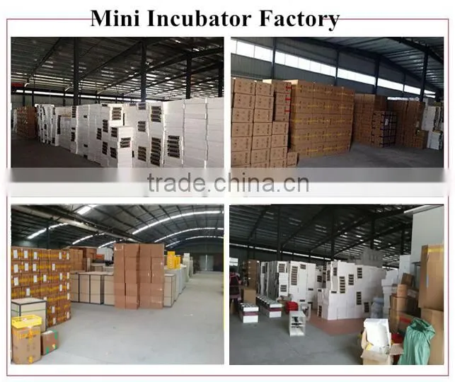 1000 chicken eggs incubator for sale combined setter and hatcher