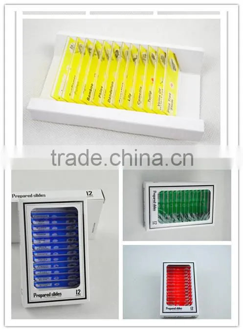 For little child study slides prepared kids plastic slides