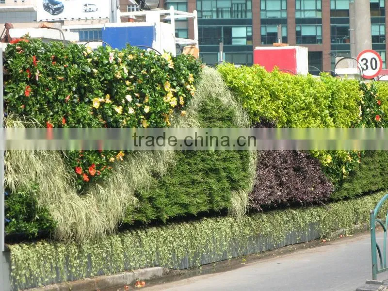 Best selling products garden green wall/vertical wall garden planter