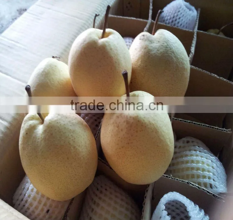 fresh ya pear