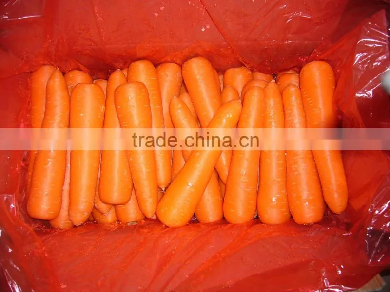 2016 chinese new crop fresh Carrot in carton