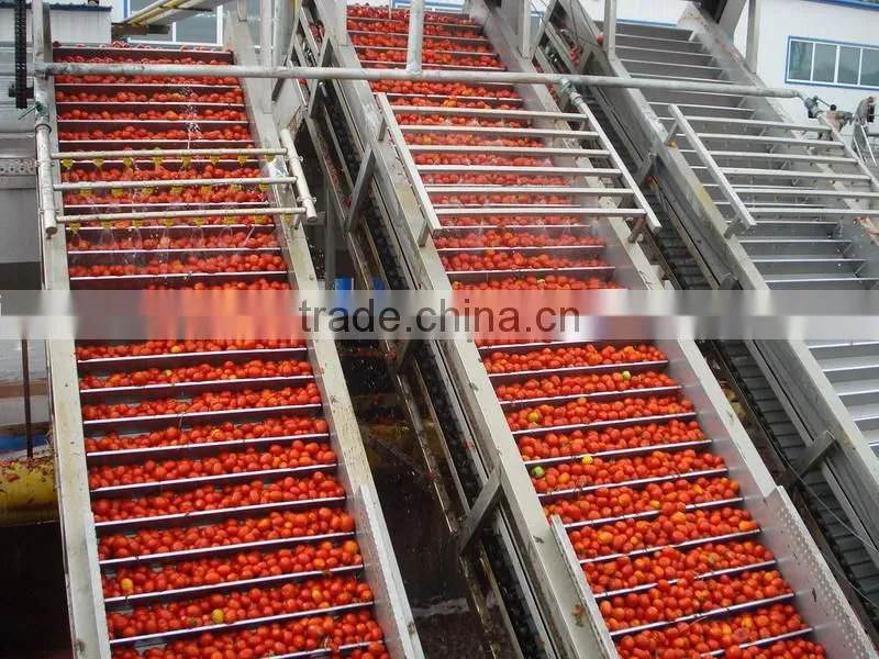 70g Bags Tomato Paste Sauce