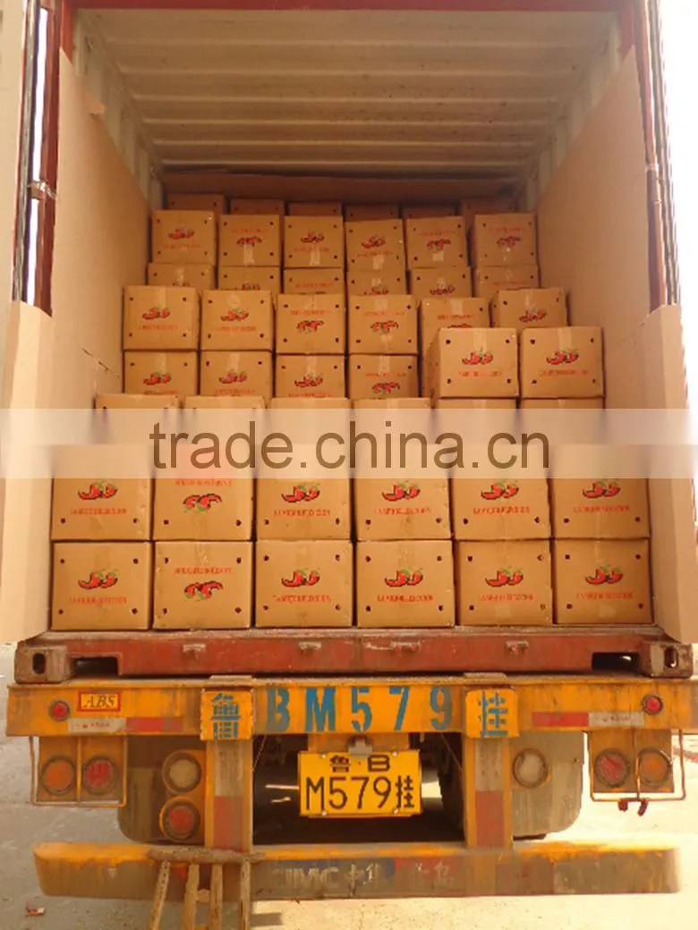 2015 Chinese dried chilli crushed, 2nd grade40-80mesh TOP Sanying red chilli pepper crushed free sample