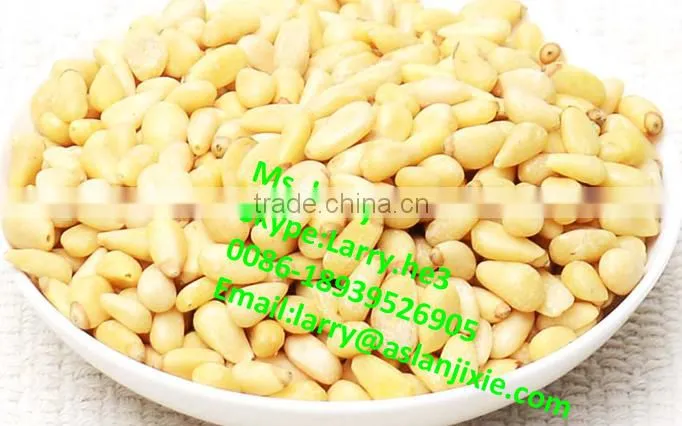 pine cone peeler machine/pine cone skin peeling machine/automatic pine cone peeler