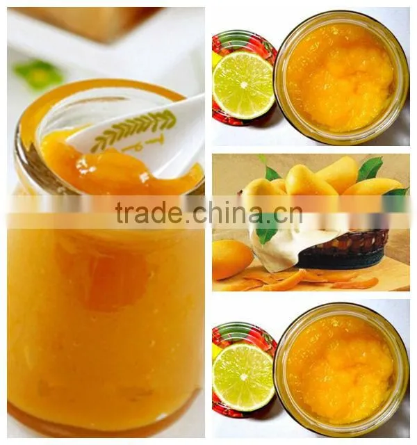 Hot sale ! fruit pulp extractor machine