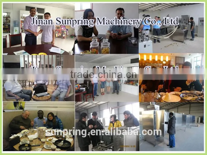 Rice Chips Rice Bites Extruder Making Machine