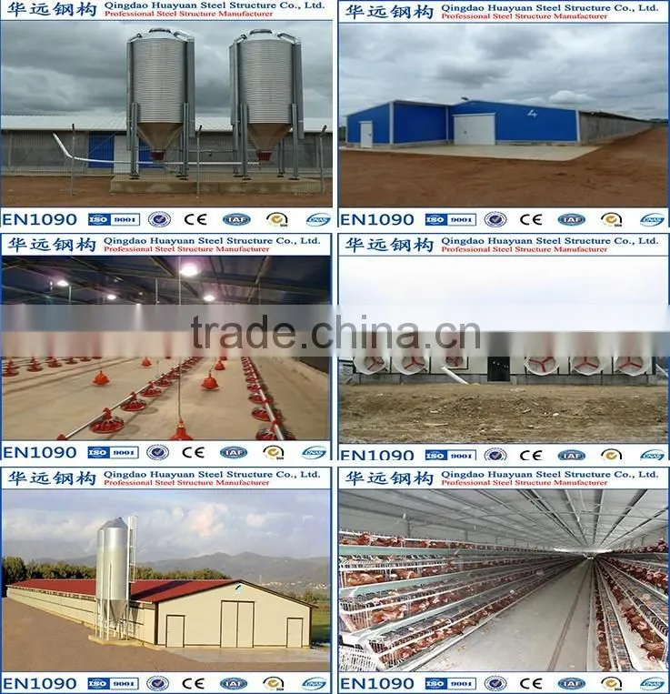 Low Cost Prefab Steel Chicken Shed Construction