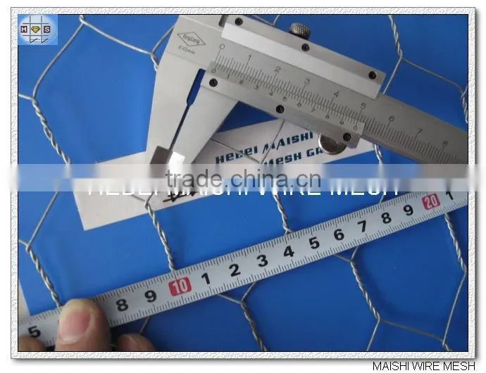 hot dipped galvanzied hexagonal wire netting chicken wire mesh