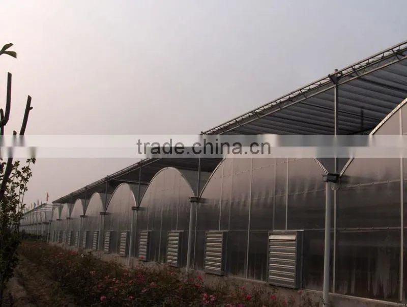 Multi Span Green Houses For Agriculture