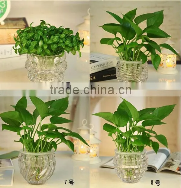 Hot sale glass ball vase clear glass ball vase