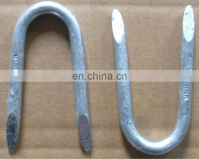 U shape nail