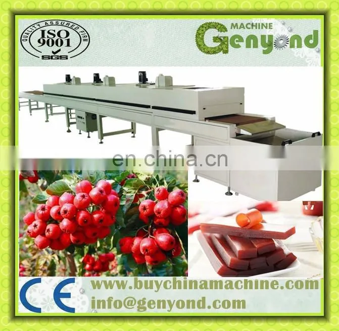 Fruit leather bar roll up pulping Scraping forming cutting making machine production line