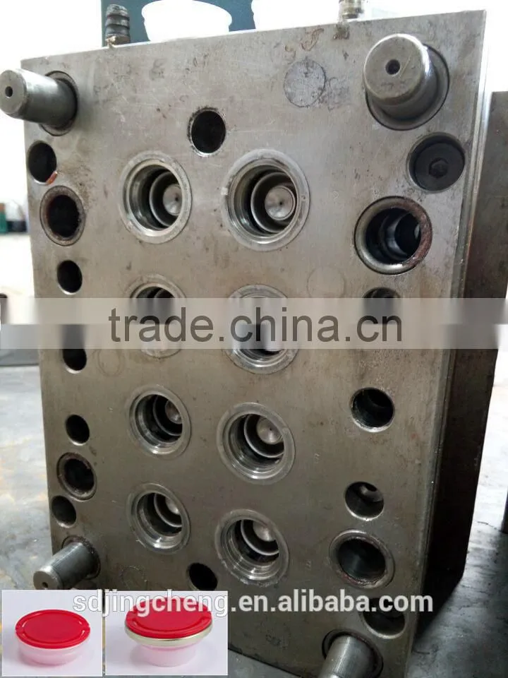 the mould of plastic cap/lid/spout hot sale in Singapore