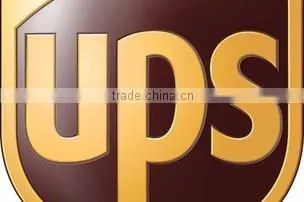 Organic Moringa leaf powder Bulk Producers