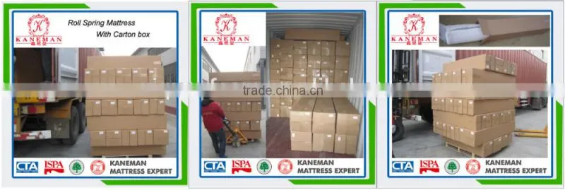 Wholesale Austrila Market Hot selling Rolled Bonnell Spring Euro Pillow Top Mattress